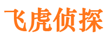 垫江捉小三公司